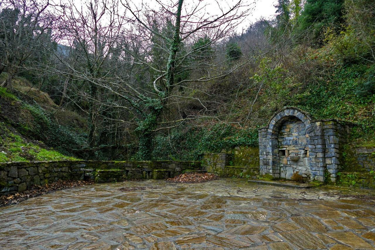 Kastanitsa Antoniou Guesthouse المظهر الخارجي الصورة